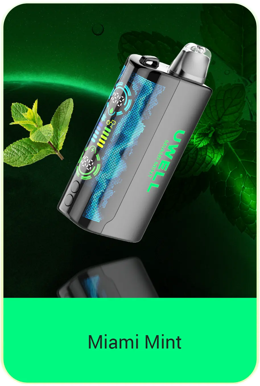 Miami Mint 1 Miami Mint