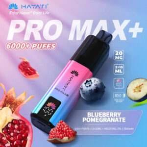 Hayati Pro Max Plus Blueberry Pomegranate