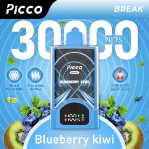 Picco Break 30000 Puffs – Blueberry Kiwi