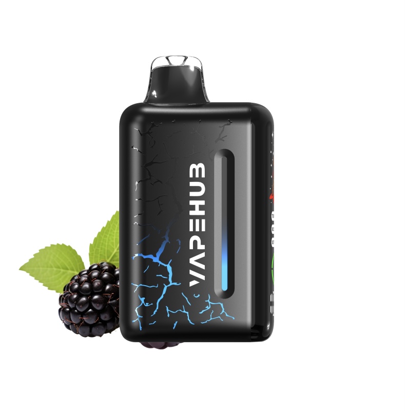 FROSTED BLACKBERRY CRUSH – VAPEHUB ULTRA 20000 2 FROSTED BLACKBERRY CRUSH – VAPEHUB ULTRA 20000 - Image 2