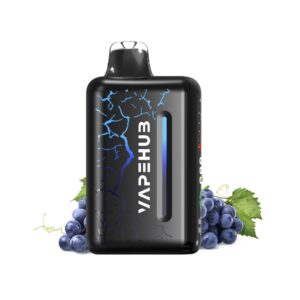 BLUEBERRY BLAST STORM – VAPEHUB ULTRA 20000