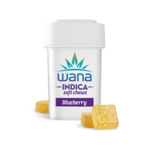 BLUEBERRY (MED) // INDICA Wana Gummies