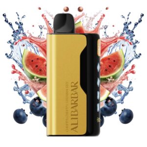 Blueberry Watermelon – ICE ADJUST 12000