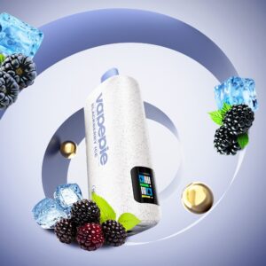 Vapepie Powergo 9800 Puffs Blackberry Ice