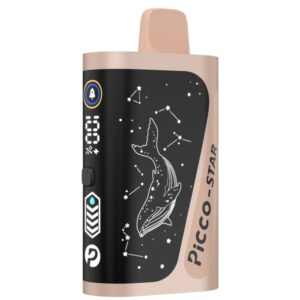 PICCO STAR 40000 Puffs – Strawberry Kiwi