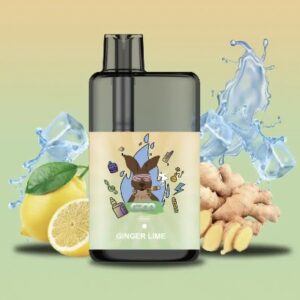 GROO MAX – Ginger Lime