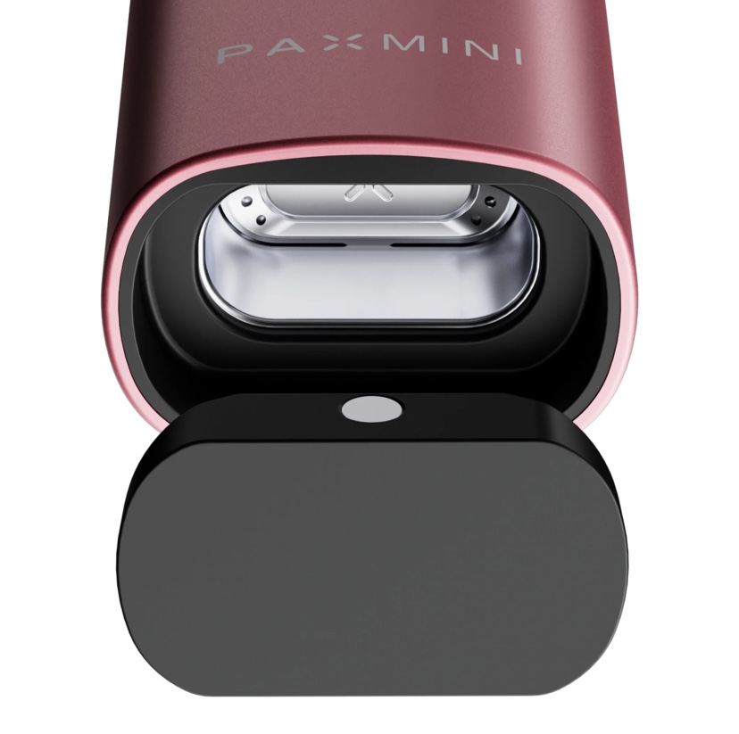 Pax Mini New Special Edition Pink Crush 5 Pax Mini New Special Edition Pink Crush - Image 5