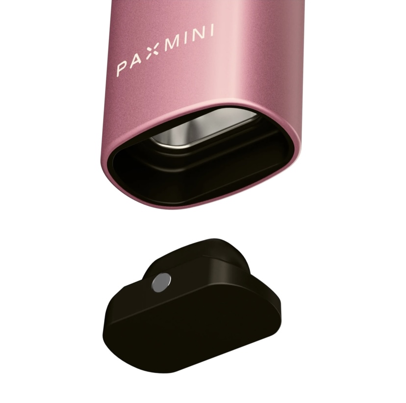 Pax Mini New Special Edition Pink Crush 6 Pax Mini New Special Edition Pink Crush - Image 6