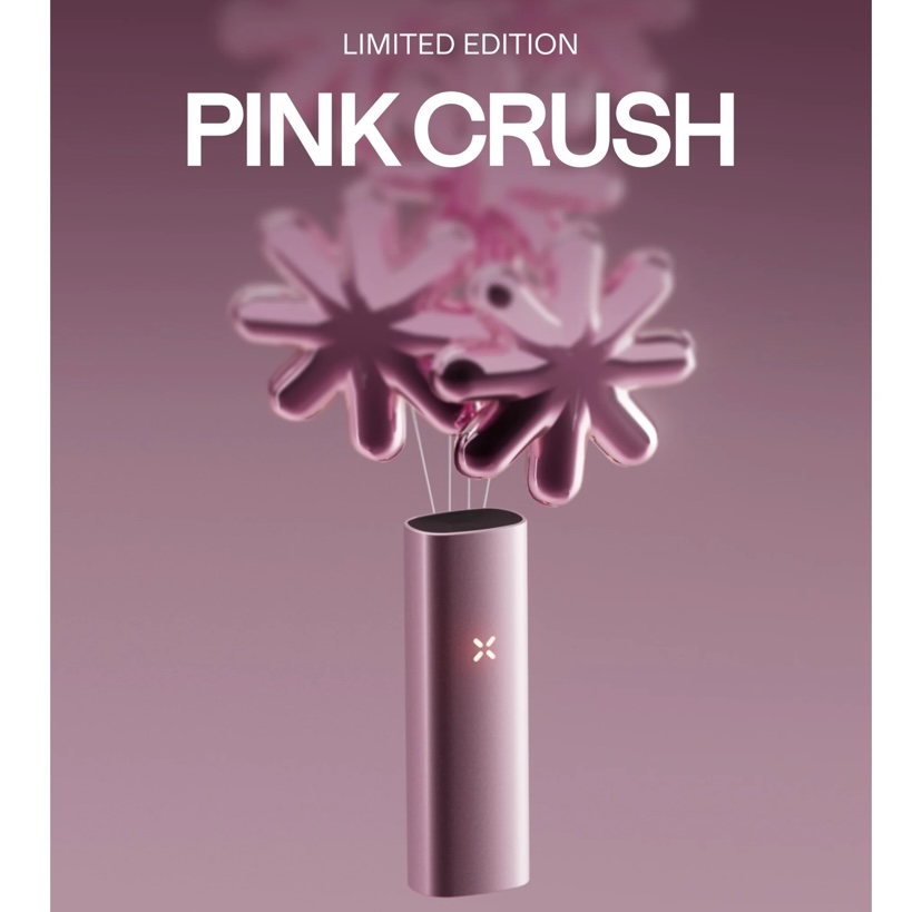 Pax Mini New Special Edition Pink Crush 7 Pax Mini New Special Edition Pink Crush - Image 7