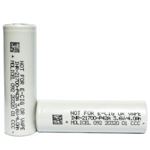 YLL BATTERIES (2-PACK)